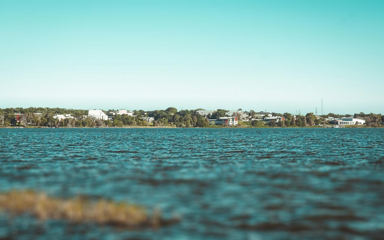 view from lake hollingsworth