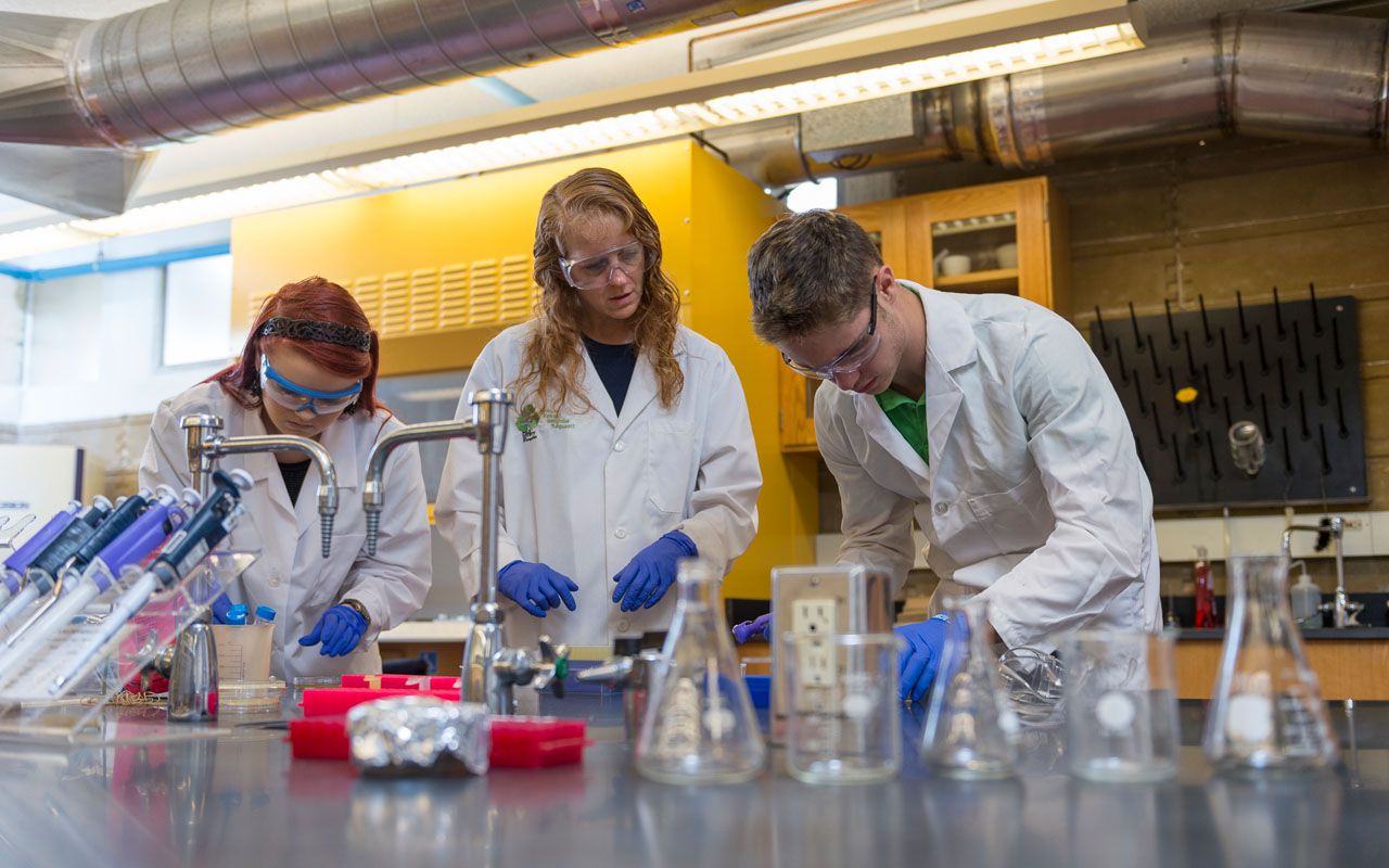 Dr. Morvillo working with students in the lab.