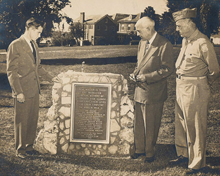 Memorial Magnolias